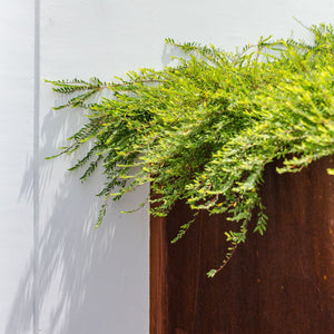 Corten Steel Arden Trough Planter